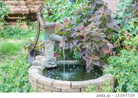 Old water well with water pump among colorful plants Old water well with water pump among colorful plants 13397739