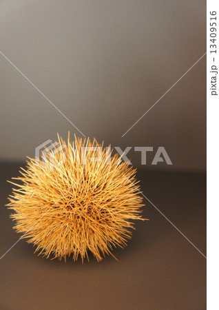 黒背景栗 黒背景栗 13409516