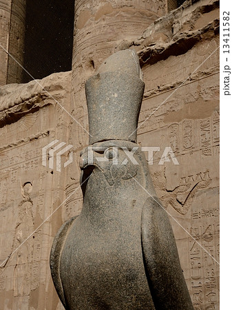 ホルス神殿のホルス神像 13411582