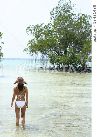 南国リゾートのビーチと水着の女性の写真素材 [13431439] - PIXTA