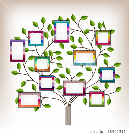 Tree and photos Tree and photos 13441515