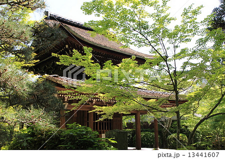 一休寺 13441607
