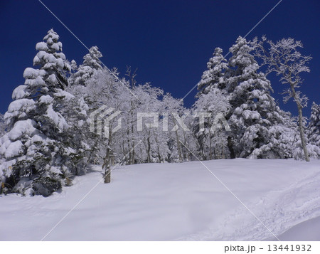 万座温泉スキー場 万座温泉スキー場 13441932