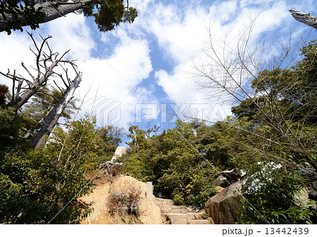 宮島弥山の風景 13442439