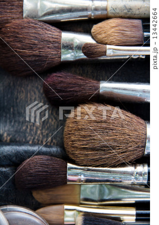 Professional cosmetic brush  13442664