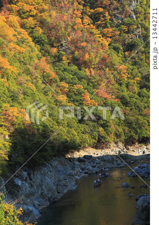保津峡の秋 13442711
