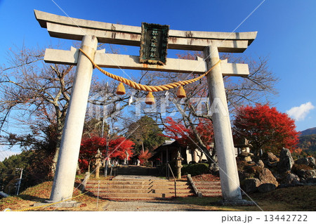 神社の秋 神社の秋 13442722