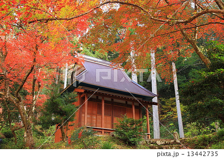 秋の紅葉鶏足寺 13442735