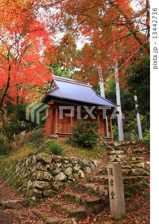 秋の紅葉鶏足寺 13442736