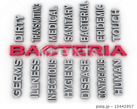3d image Bacteria issues concept word cloud background 3d image Bacteria issues concept word cloud background 13442957