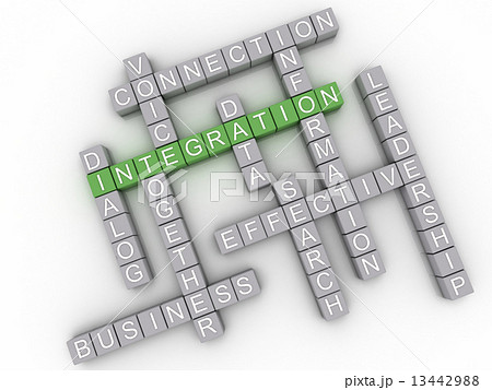 3d image Integration issues concept word cloud background 13442988