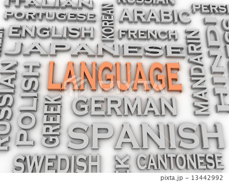 3d image Language issues concept word cloud background 13442992