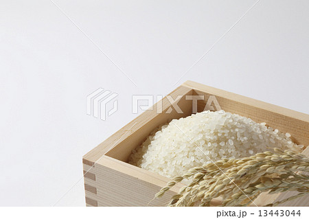 米　お米　枡 13443044