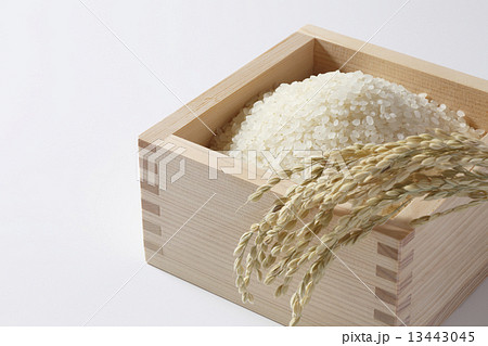 米 お米 枡 米 お米 枡 13443045