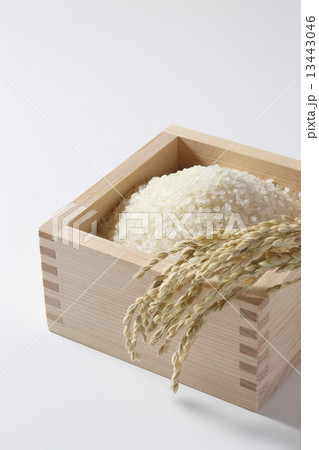 米　お米　枡 13443046