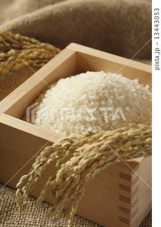 米　お米　枡 13443053