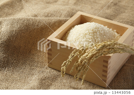 米 お米 枡 米 お米 枡 13443056