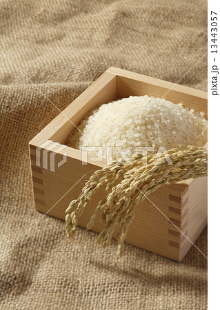米　お米　枡 13443057