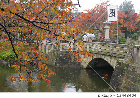 上杉神社 舞鶴橋 上杉神社 舞鶴橋 13443404