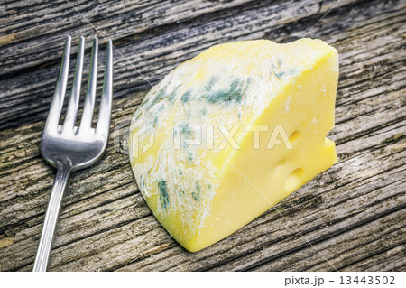 Moldy cheese on wooden boards Moldy cheese on wooden boards 13443502