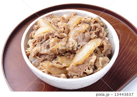 牛丼 13443637