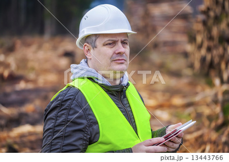 Forest Officer with tablet PC near piles of logs  13443766