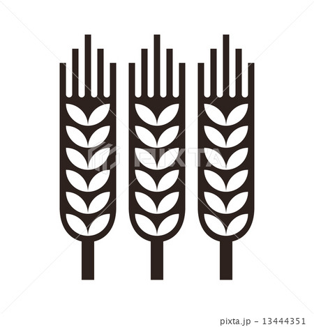 Wheat ear icon 13444351