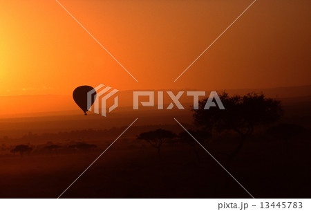 バルーン マサイマラ(ケニア) バルーン マサイマラ(ケニア) 13445783