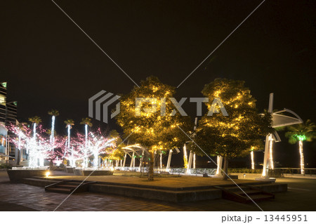 イルミネーション 13445951