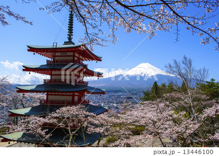 富士浅間神社と富士山 13446100