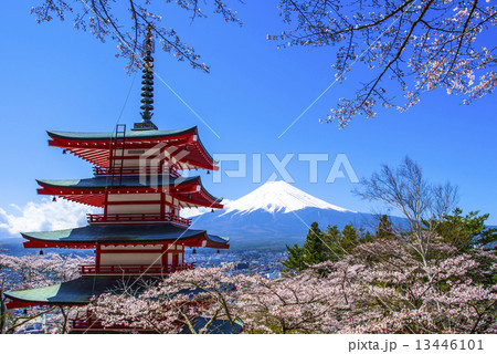 富士浅間神社と富士山 13446101
