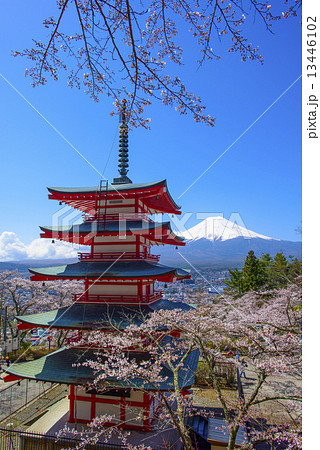 富士浅間神社と富士山 13446102