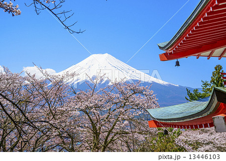 富士浅間神社と富士山 13446103