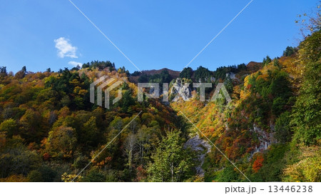 信州秋山郷の紅葉 13446238