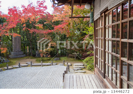 金福寺、枯山水に紅葉 金福寺、枯山水に紅葉 13446272