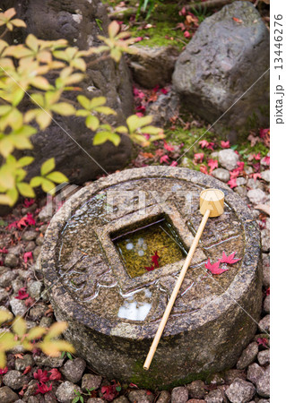 金福寺、知足の知足の蹲踞に紅葉 13446276