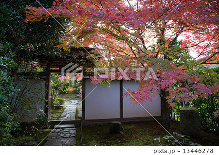 金福寺の紅葉、芭蕉居の門 13446278