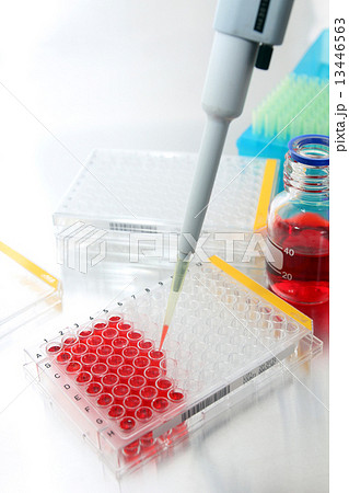 Sample being loaded into well plate for analysis in lab 13446563