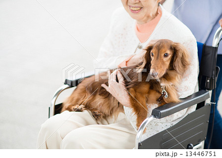 在宅 訪問 介護イメージ 13446751