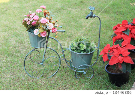 flowers in bicycle vase flowers in bicycle vase 13446806