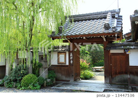 義仲寺 13447536