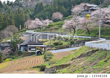 春の山村風景3 春の山村風景3 13448168