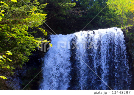 滝の春 13448297