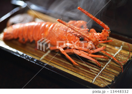 伊勢えび 13448332