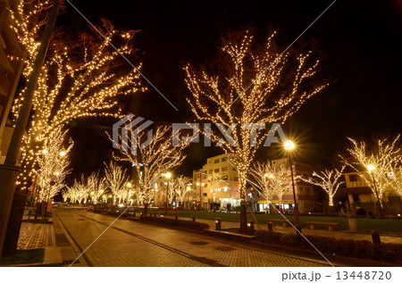 鹿児島のイルミネーション 鹿児島のイルミネーション 13448720