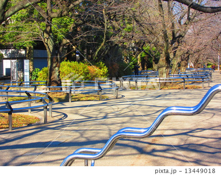 千鳥ヶ淵公園 13449018