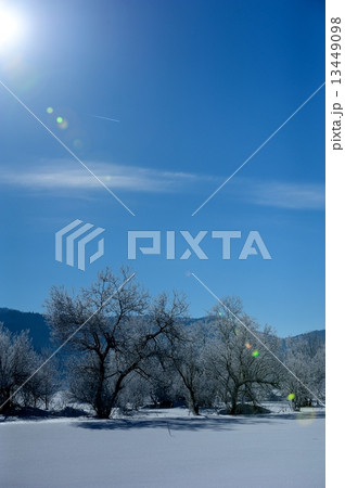 長野信州冬雪景色イメージ 長野信州冬雪景色イメージ 13449098