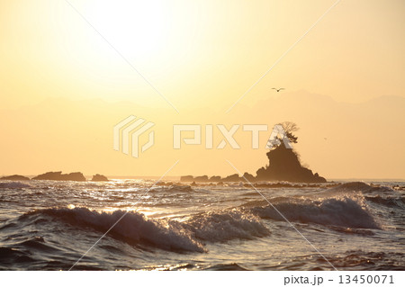 雨晴海岸の日の出 13450071