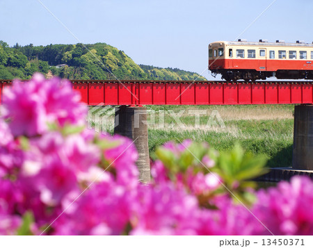 初夏の小湊鉄道 13450371