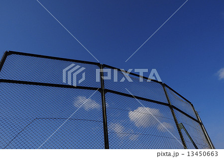 バックネット 13450663